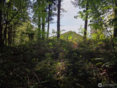 0 NE 45th Avenue , Vancouver, WA 98686 - Photo 19