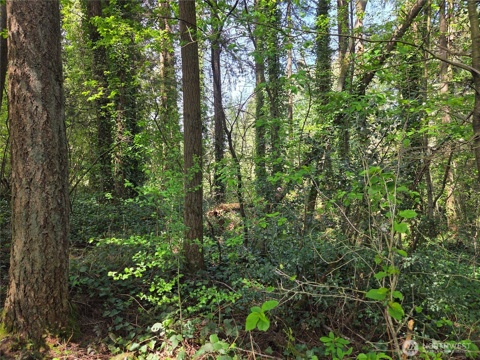 0 NE 45th Avenue , Vancouver, WA 98686