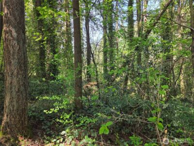 0 NE 45th Avenue , Vancouver, WA 98686 - Photo 22