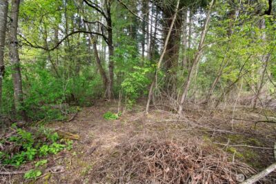 0 NE 45th Avenue , Vancouver, WA 98686 - Photo 27