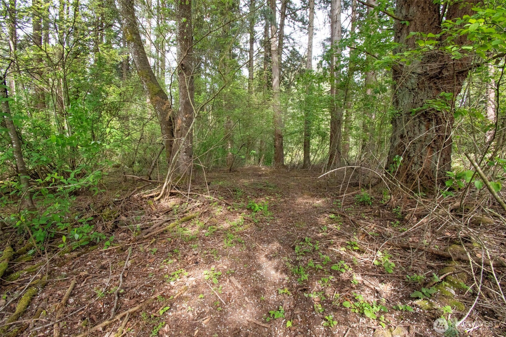 0 NE 45th Avenue , Vancouver, WA 98686