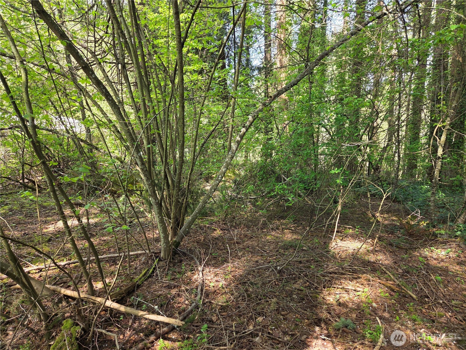 0 NE 45th Avenue , Vancouver, WA 98686
