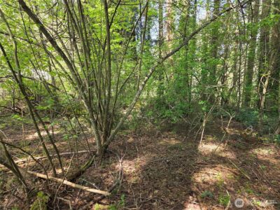 0 NE 45th Avenue , Vancouver, WA 98686 - Photo 8