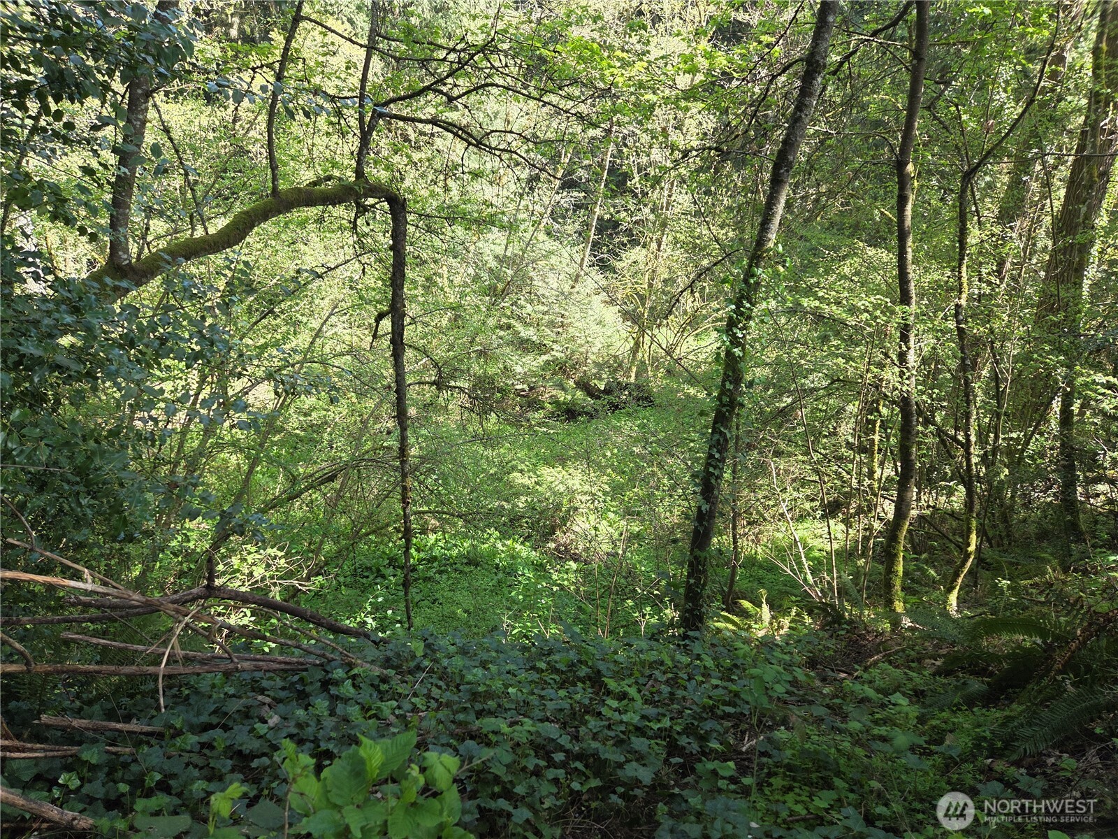 0 NE 45th Avenue , Vancouver, WA 98686