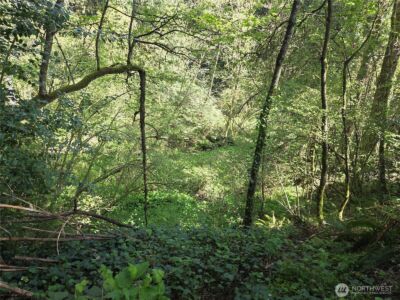 0 NE 45th Avenue , Vancouver, WA 98686 - Photo 10