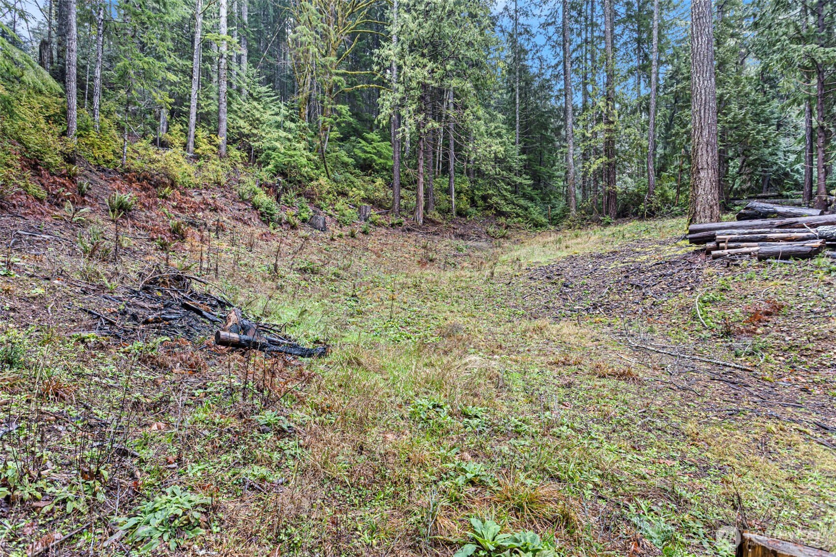 19560 NE North Shore Road , Tahuya, WA 98588