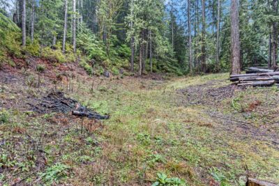 19560 NE North Shore Road , Tahuya, WA 98588 - Photo 4