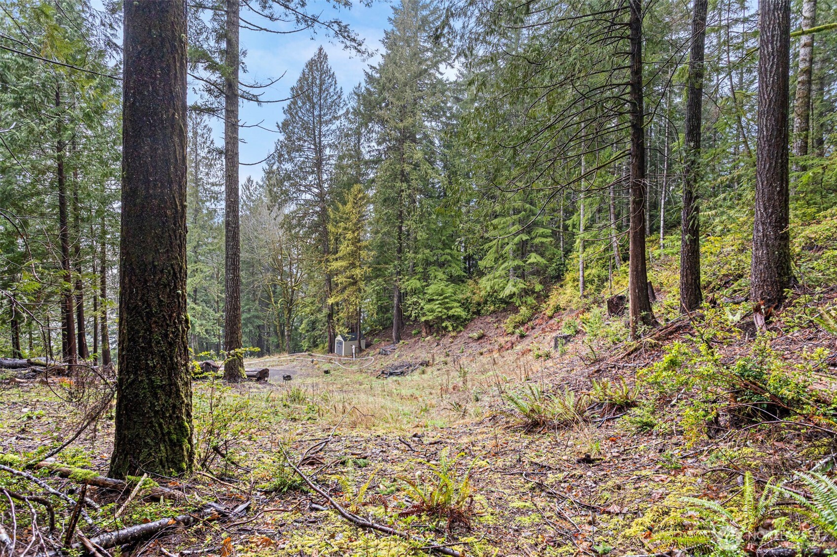 19560 NE North Shore Road , Tahuya, WA 98588