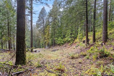 19560 NE North Shore Road , Tahuya, WA 98588 - Photo 5