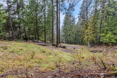 19560 NE North Shore Road , Tahuya, WA 98588 - Photo 6