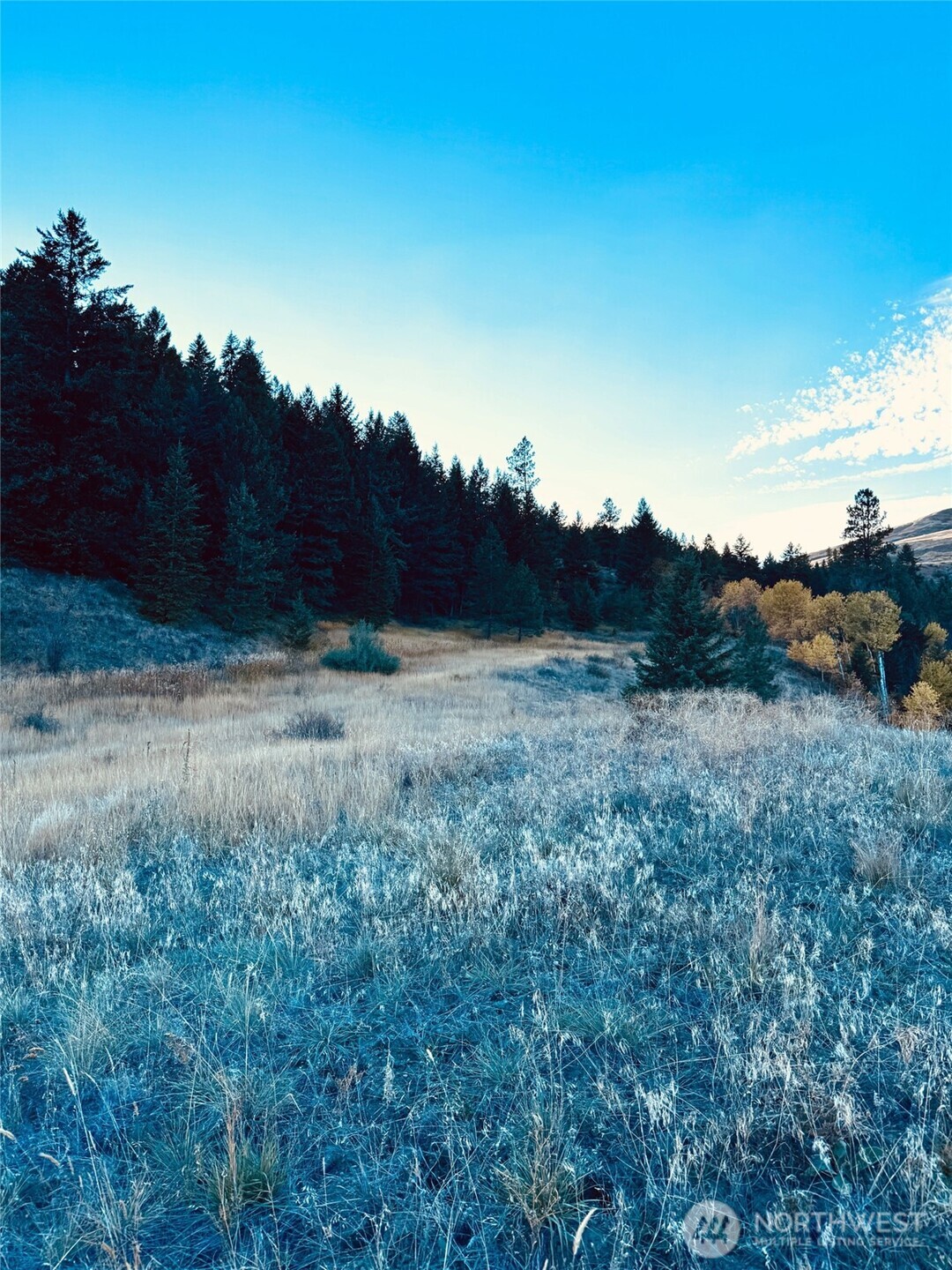 11 Gafvery Creek Road , Oroville, WA 98844