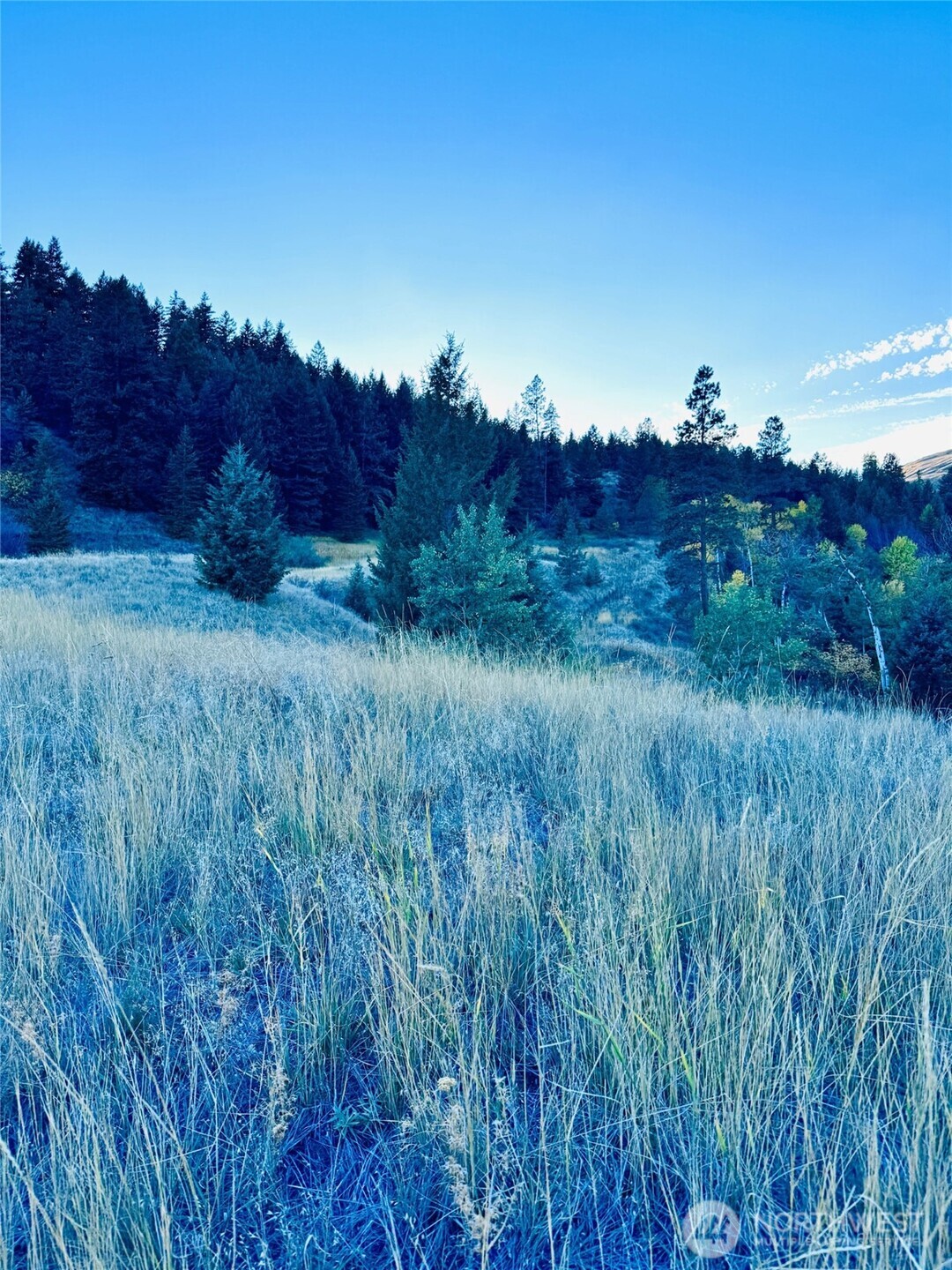 11 Gafvery Creek Road , Oroville, WA 98844