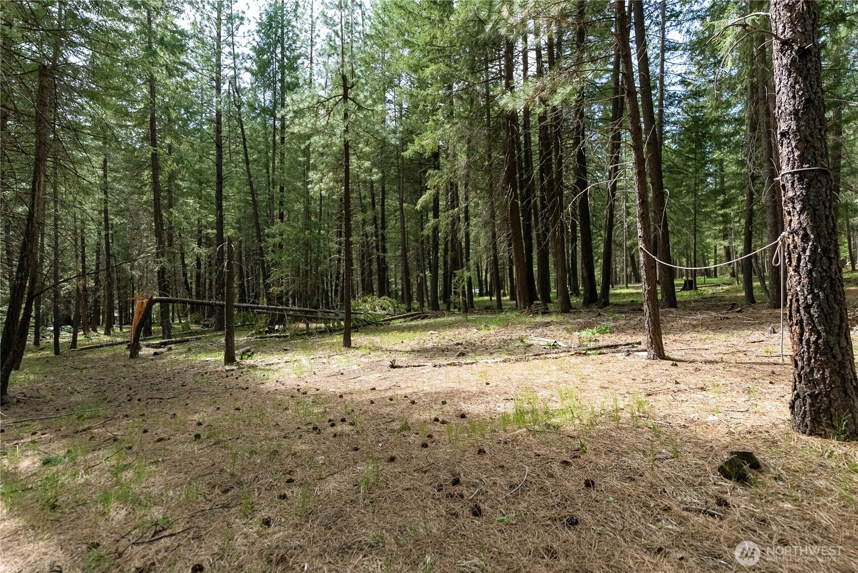 578 Lost River Road , Mazama, WA 98833