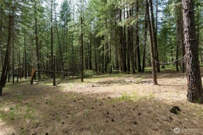 578 Lost River Road , Mazama, WA 98833 - Photo 12
