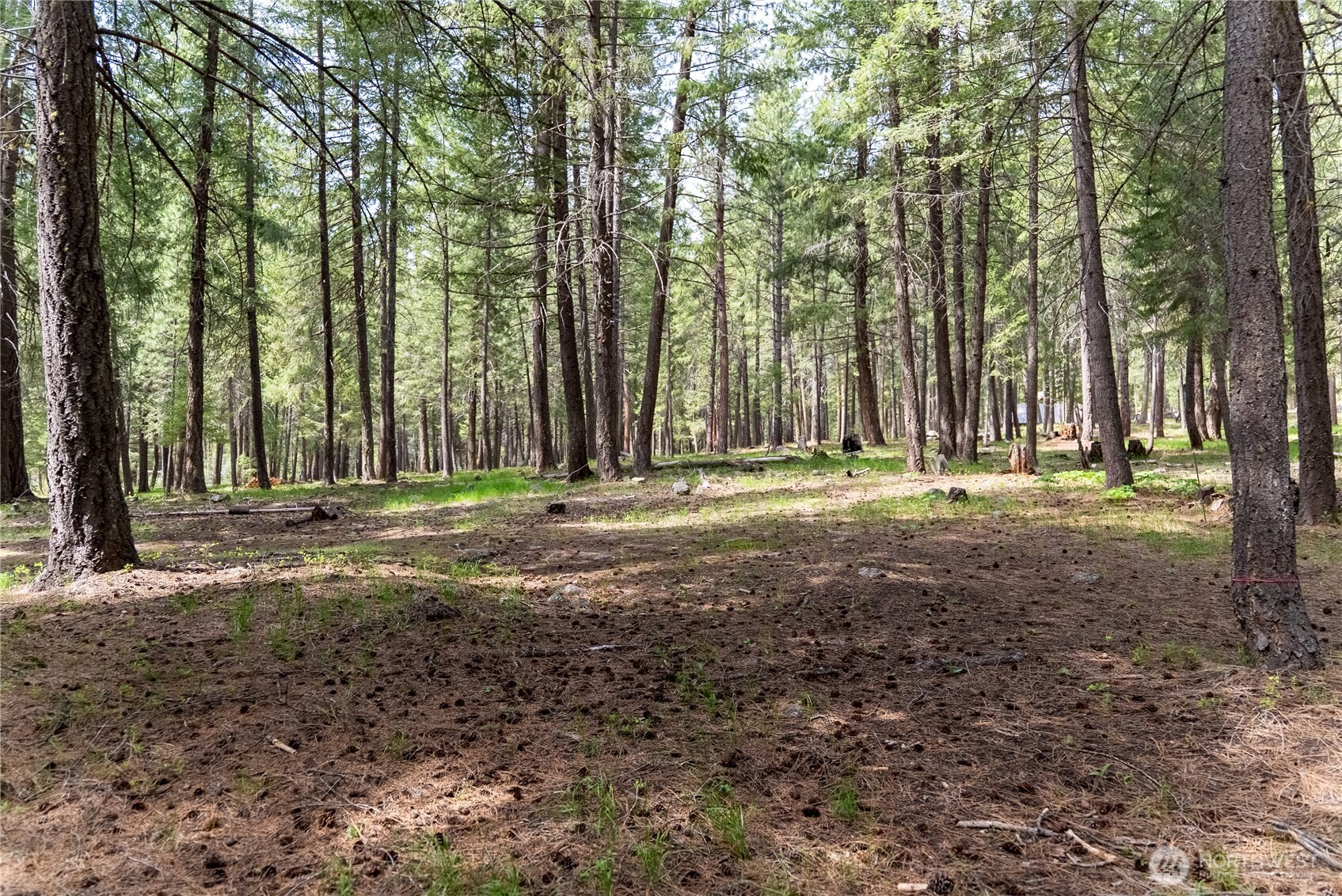 578 Lost River Road , Mazama, WA 98833