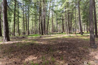 578 Lost River Road , Mazama, WA 98833 - Photo 14