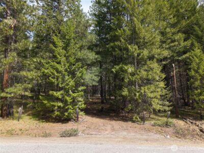 578 Lost River Road , Mazama, WA 98833 - Photo 2