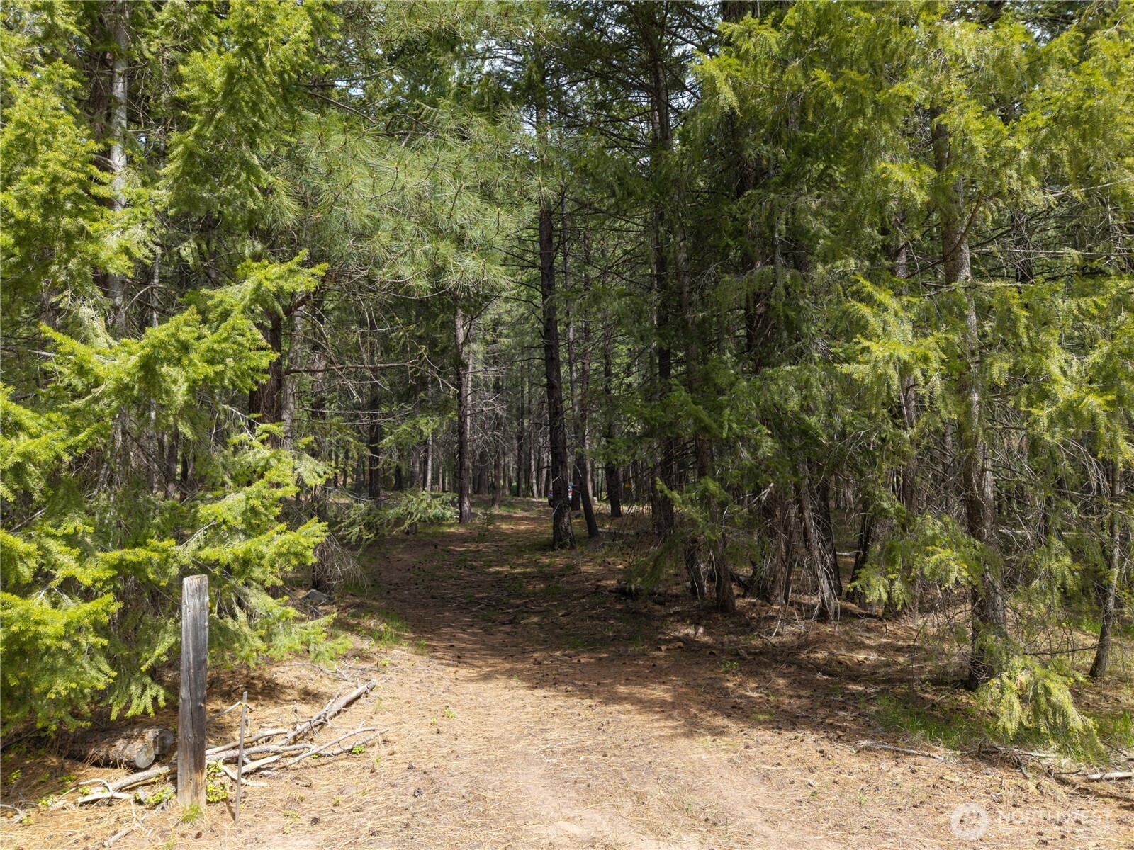 578 Lost River Road , Mazama, WA 98833