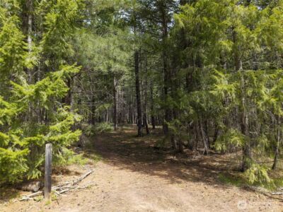 578 Lost River Road , Mazama, WA 98833 - Photo 3