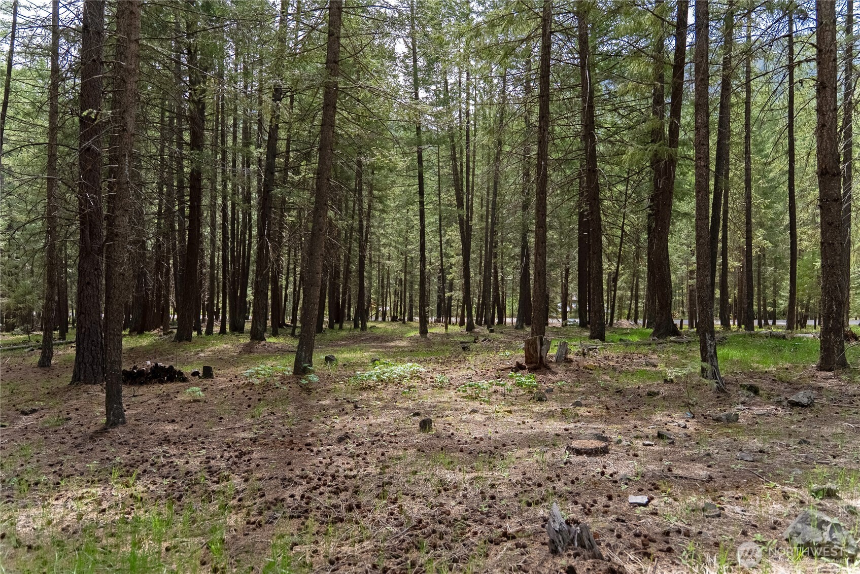 578 Lost River Road , Mazama, WA 98833