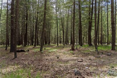 578 Lost River Road , Mazama, WA 98833 - Photo 4