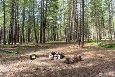 578 Lost River Road , Mazama, WA 98833 - Photo 5