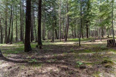 578 Lost River Road , Mazama, WA 98833 - Photo 6