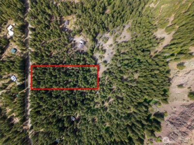 578 Lost River Road , Mazama, WA 98833 - Photo 10