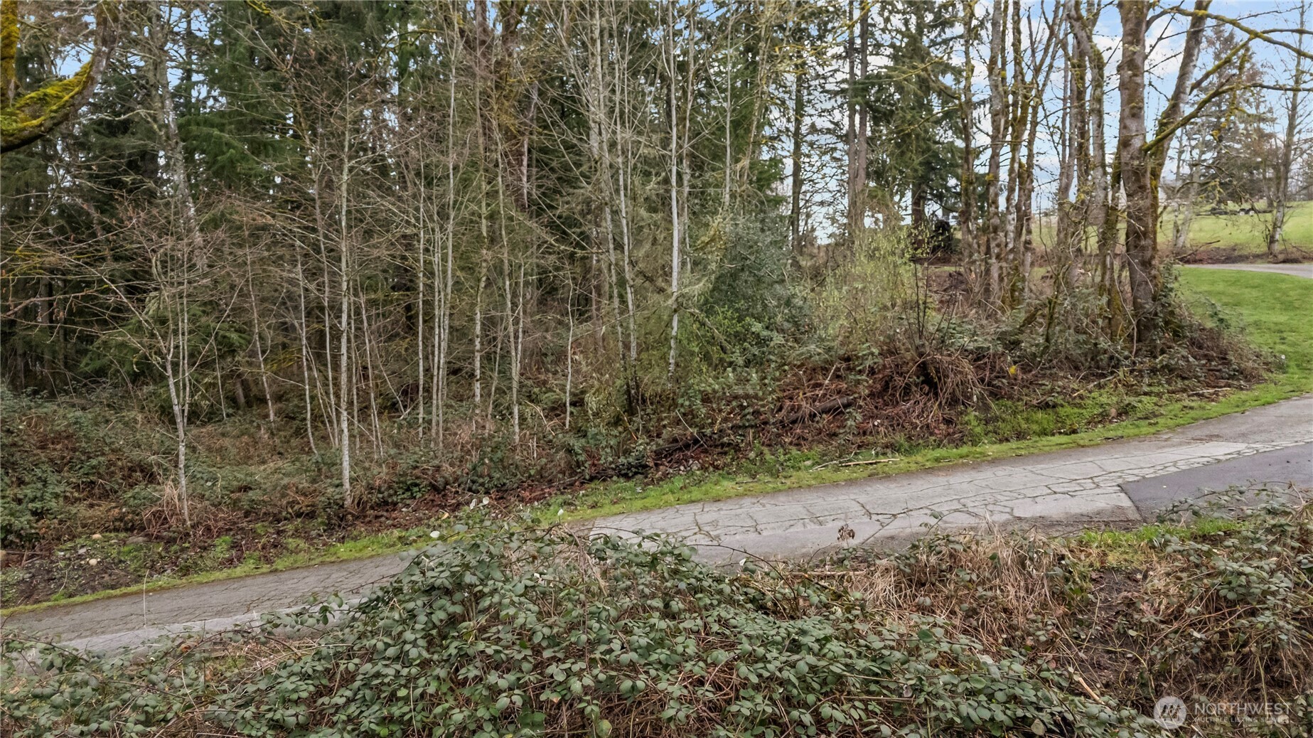 259 XXX 272nd Avenue SE, Ravensdale, WA 98051