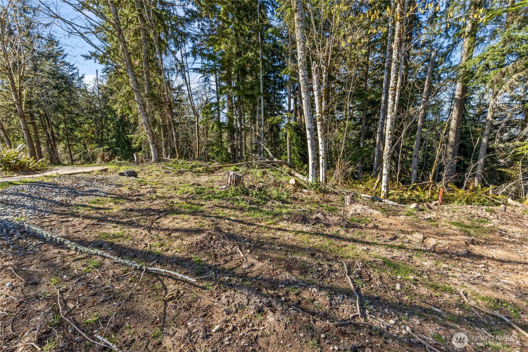 259 XXX 272nd Avenue SE, Ravensdale, WA 98051
