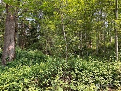 259 XXX 272nd Avenue SE, Ravensdale, WA 98051