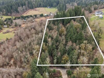 259 XXX 272nd Avenue SE, Ravensdale, WA 98051 - Photo 3