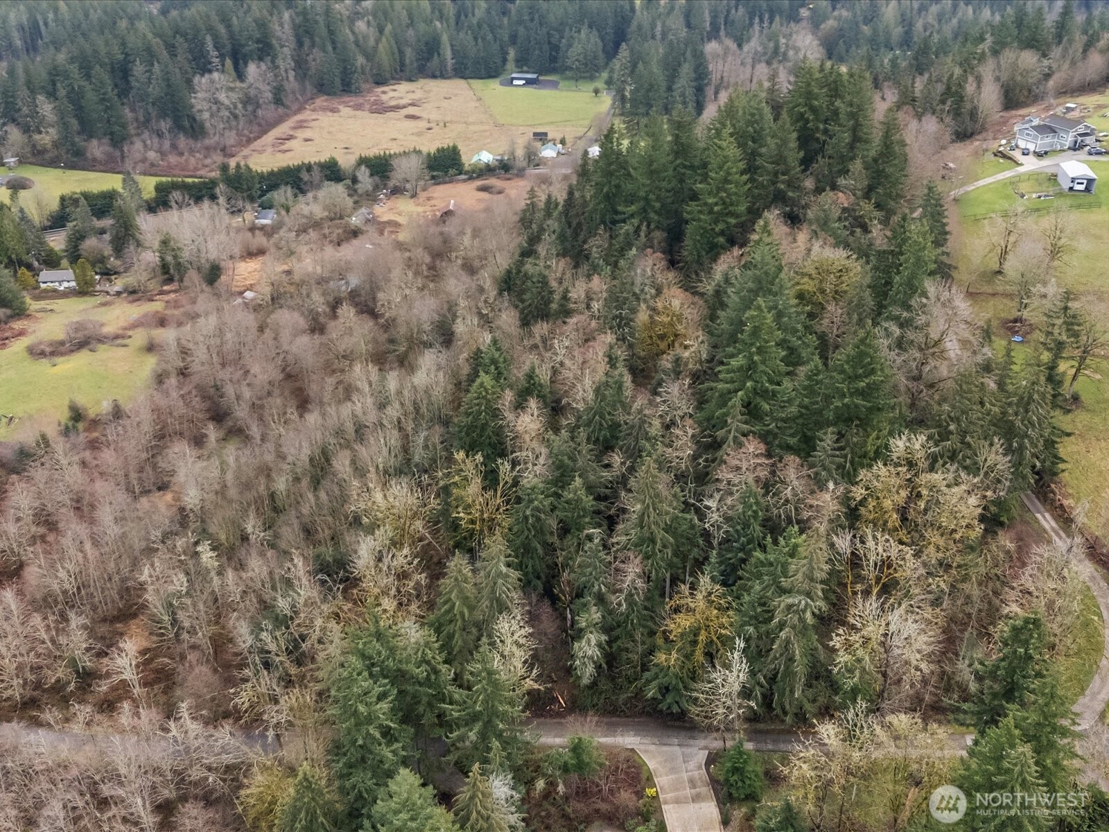 259 XXX 272nd Avenue SE, Ravensdale, WA 98051