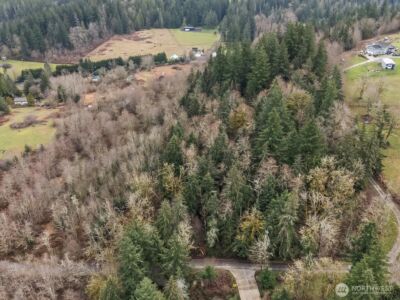 259 XXX 272nd Avenue SE, Ravensdale, WA 98051 - Photo 4