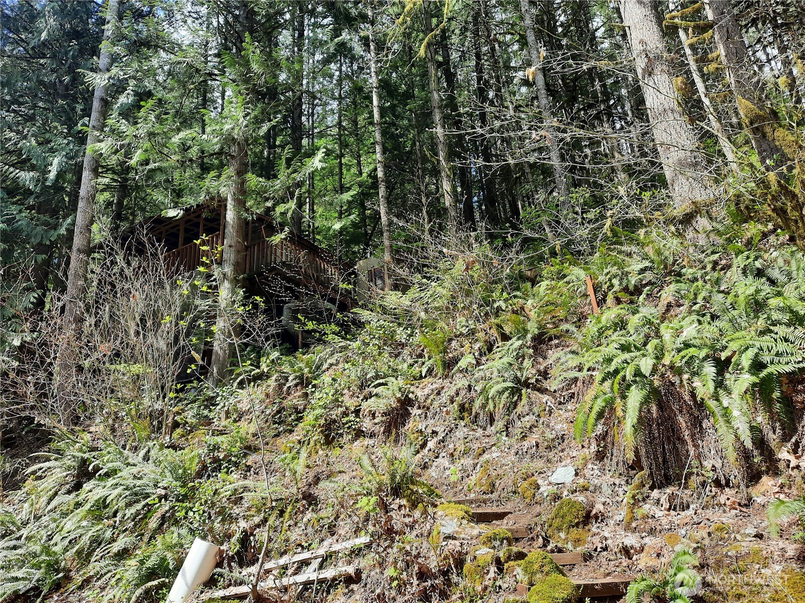 64011 E Cascade Drive , Marblemount, WA 98267