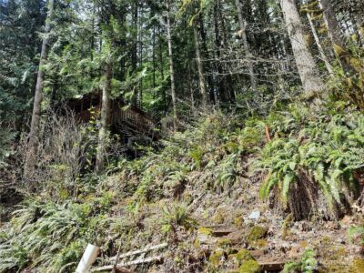 64011 E Cascade Drive , Marblemount, WA 98267 - Photo 2