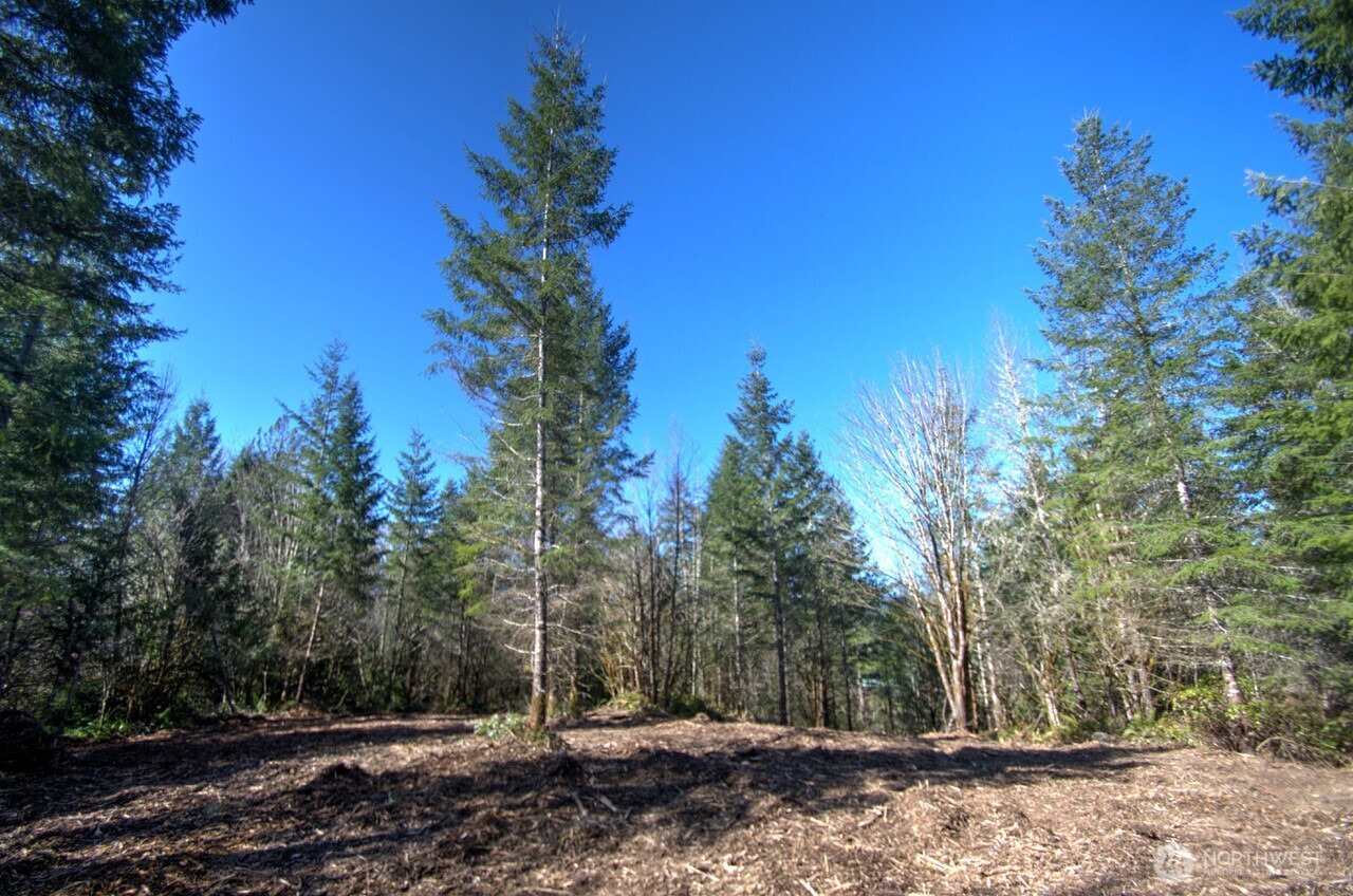0 Delphi Road SW, Olympia, WA 98512