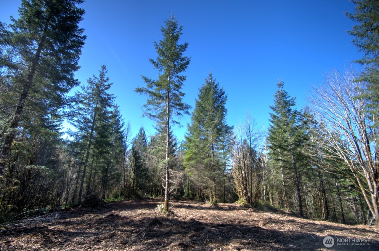 0 Delphi Road SW, Olympia, WA 98512