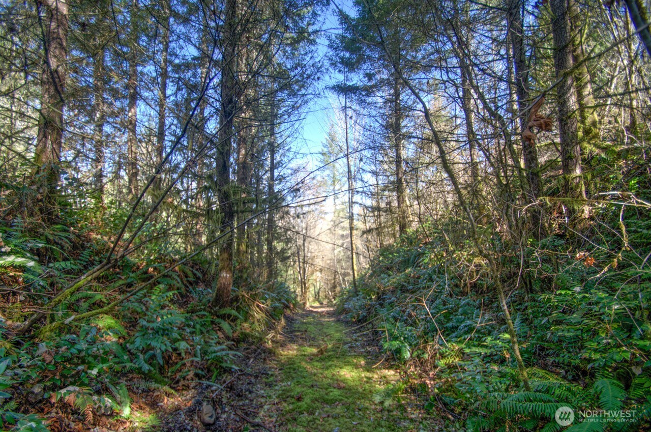 0 Delphi Road SW, Olympia, WA 98512