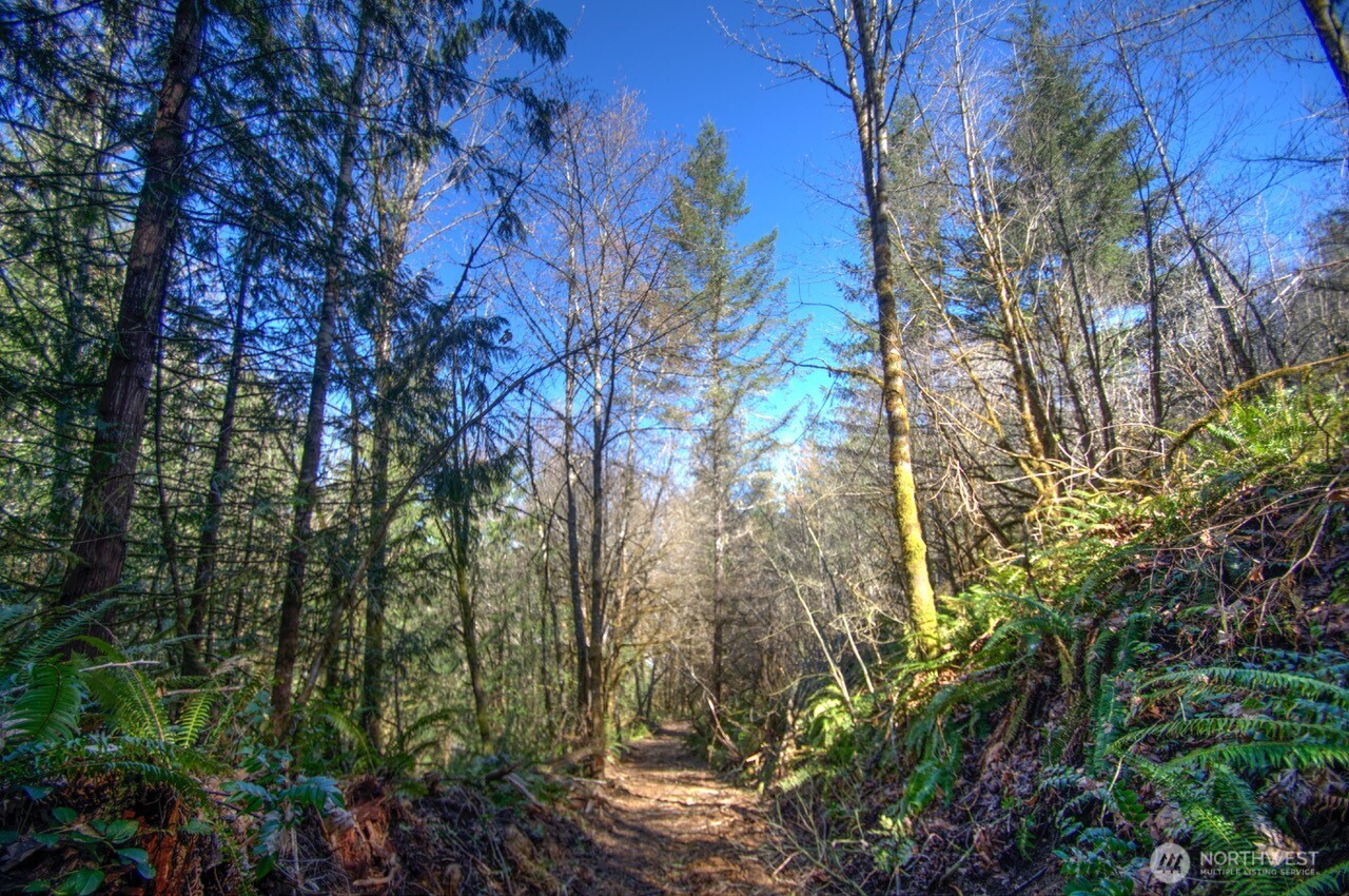 0 Delphi Road SW, Olympia, WA 98512
