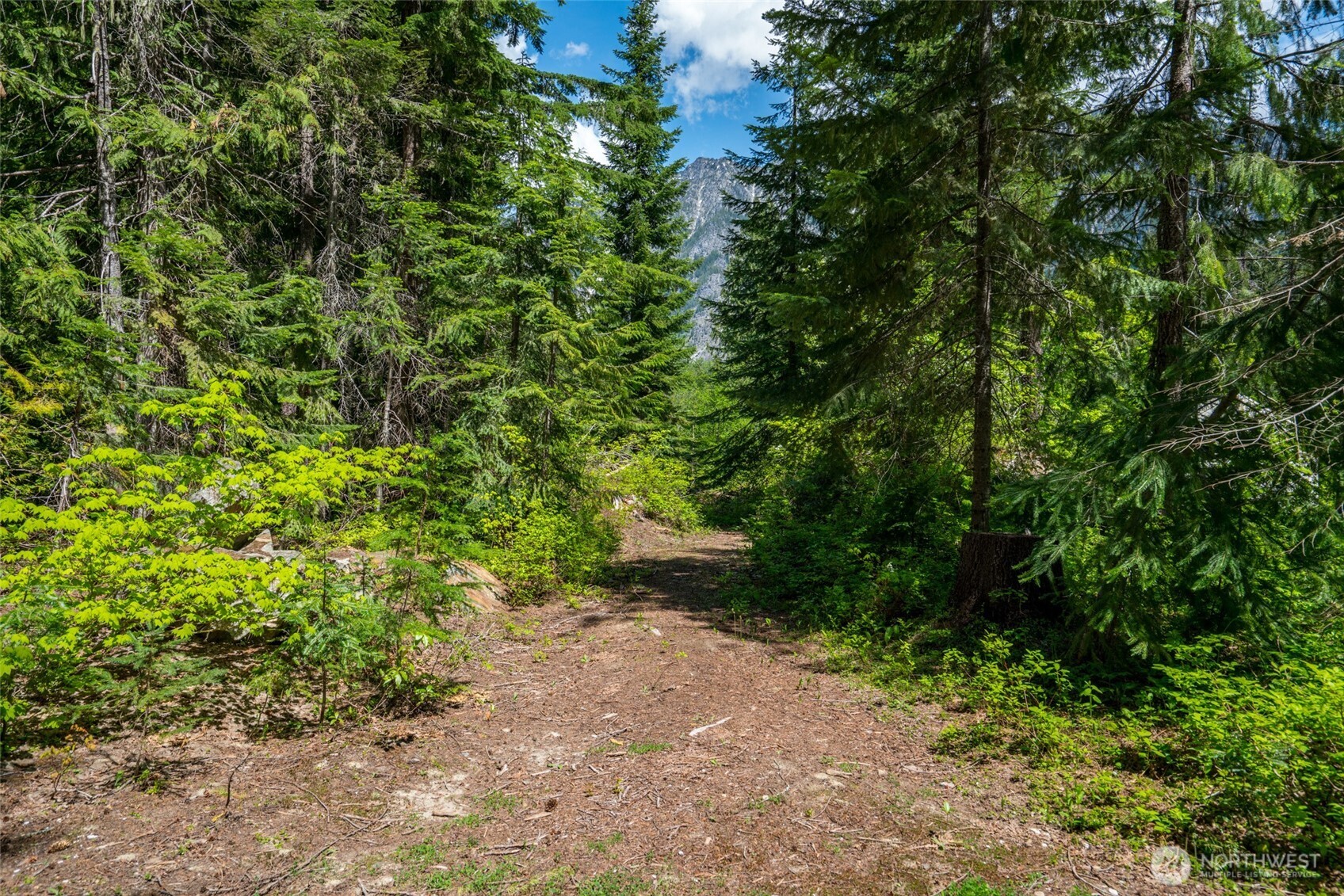 27988 Napeequa Drive , Leavenworth, WA 98826