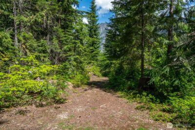 27988 Napeequa Drive , Leavenworth, WA 98826 - Photo 4