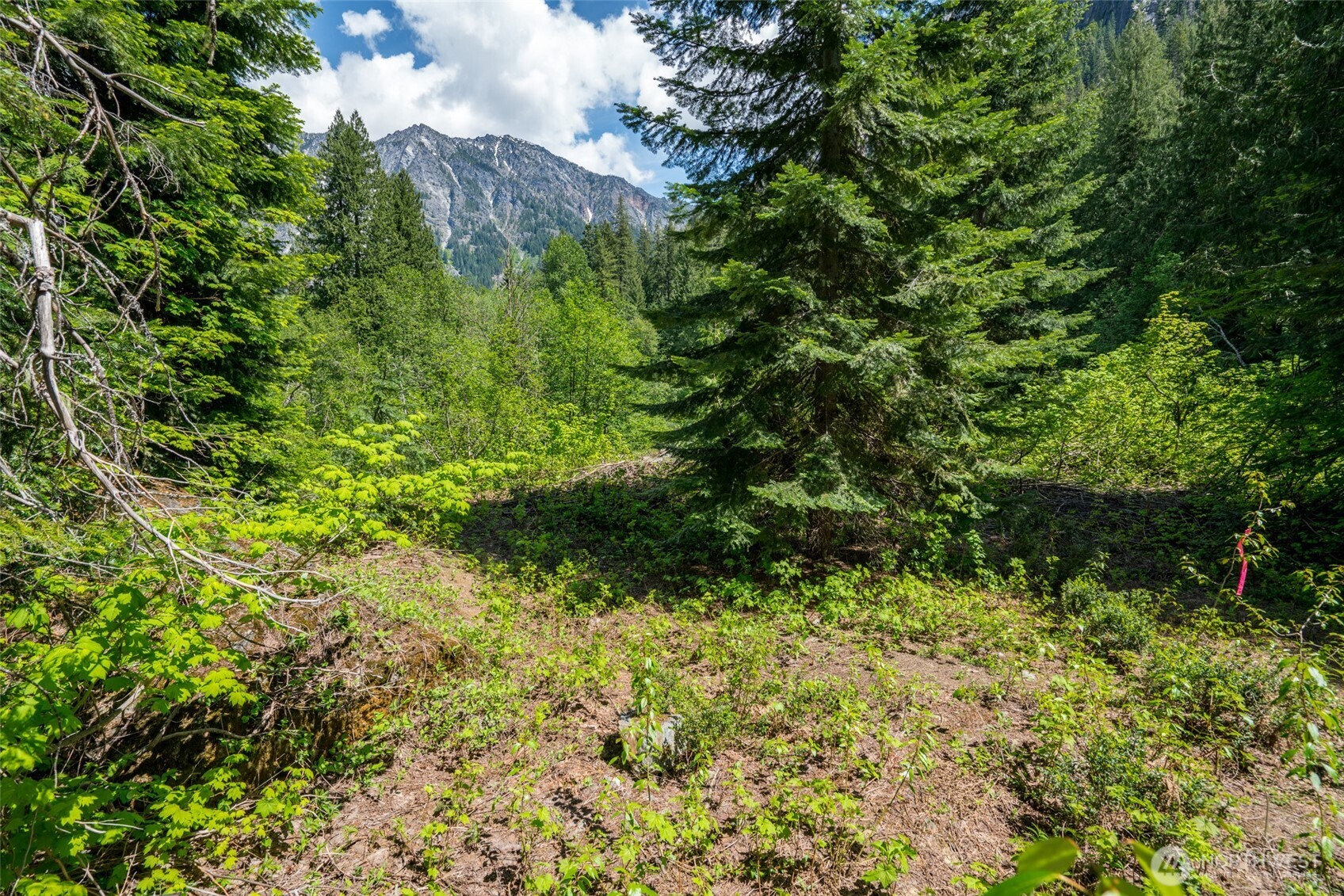 27988 Napeequa Drive , Leavenworth, WA 98826