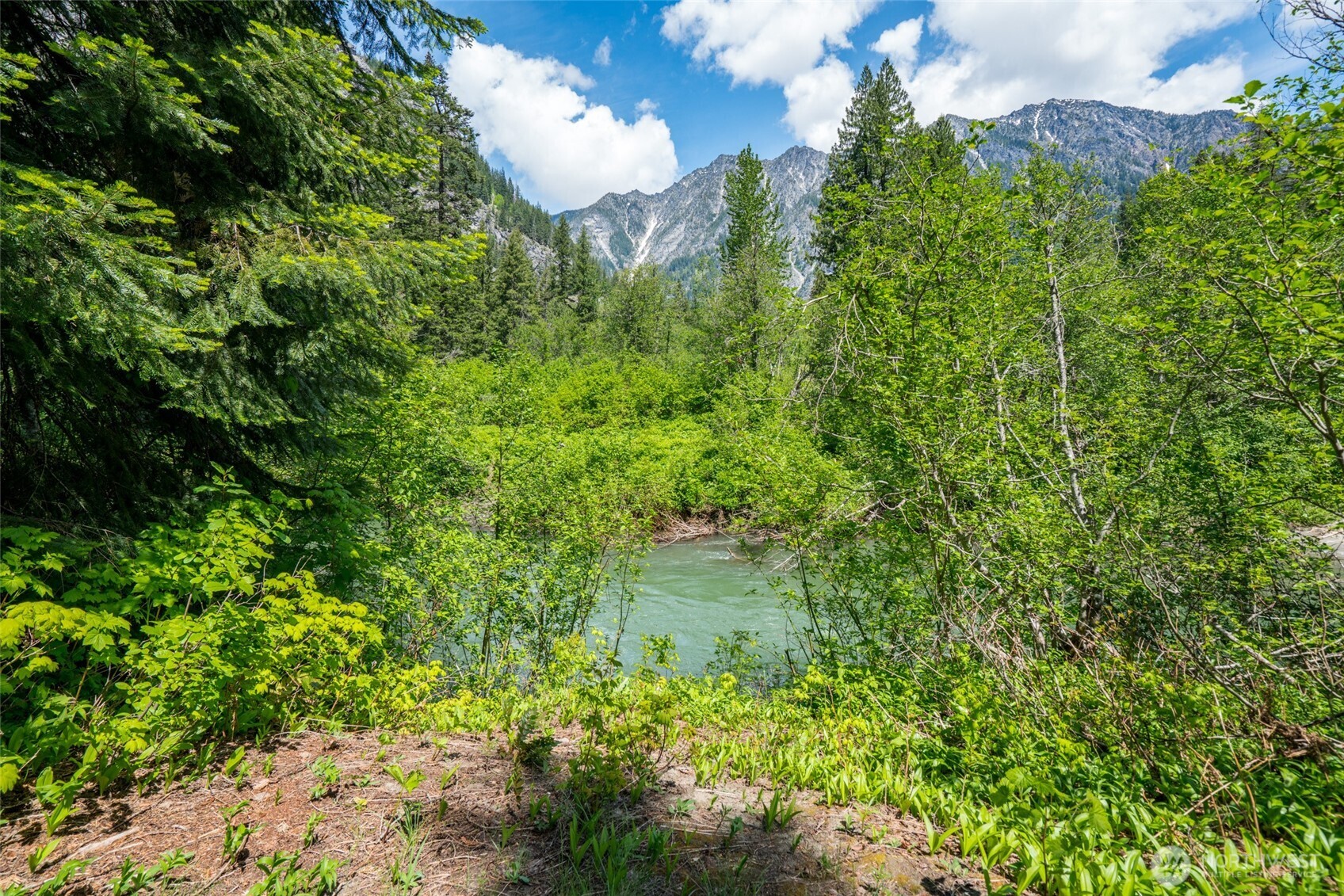 27988 Napeequa Drive , Leavenworth, WA 98826