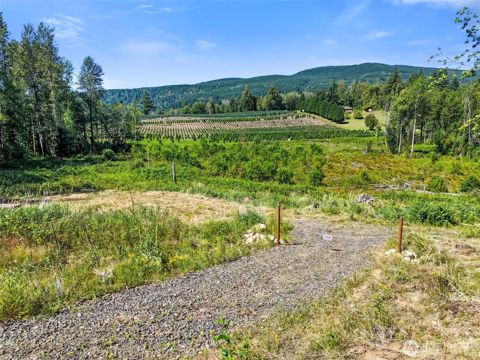 233 Young Road , Mossyrock, WA 98564