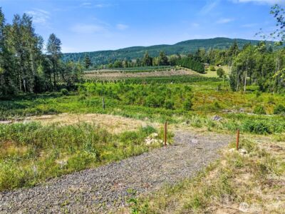 233 Young Road , Mossyrock, WA 98564 - Photo 11