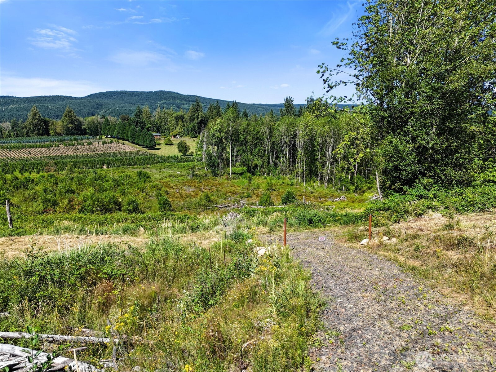 233 Young Road , Mossyrock, WA 98564
