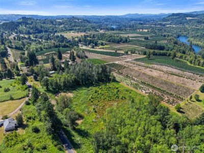 233 Young Road , Mossyrock, WA 98564 - Photo 2