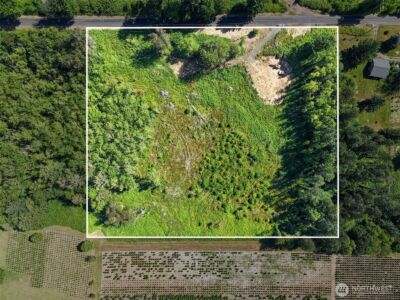 233 Young Road , Mossyrock, WA 98564 - Photo 6