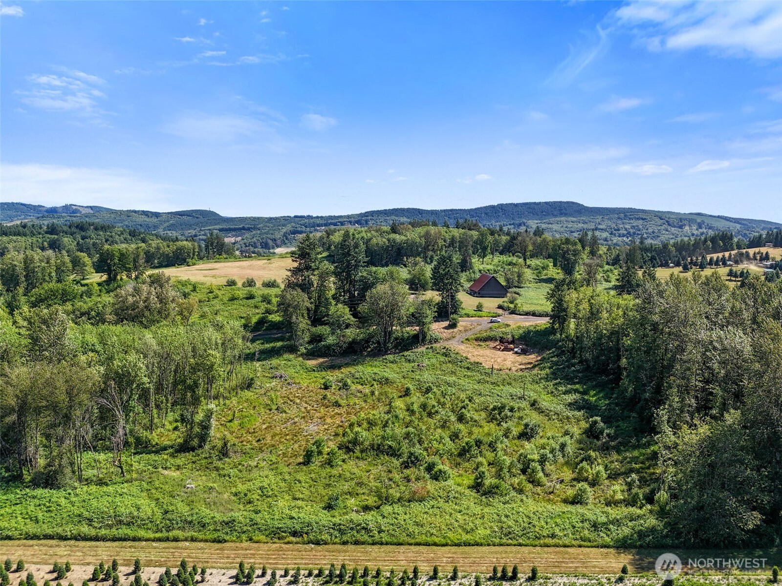 233 Young Road , Mossyrock, WA 98564